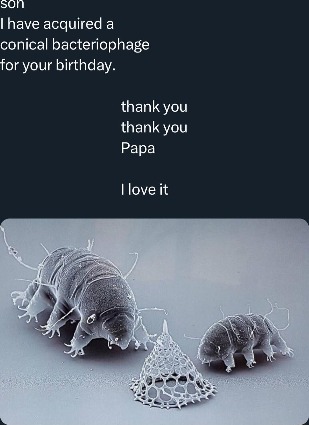 s0n have acquired a conical bacteriophage for your birthday LGETQYeT AGETQYeT ZEToE llove it