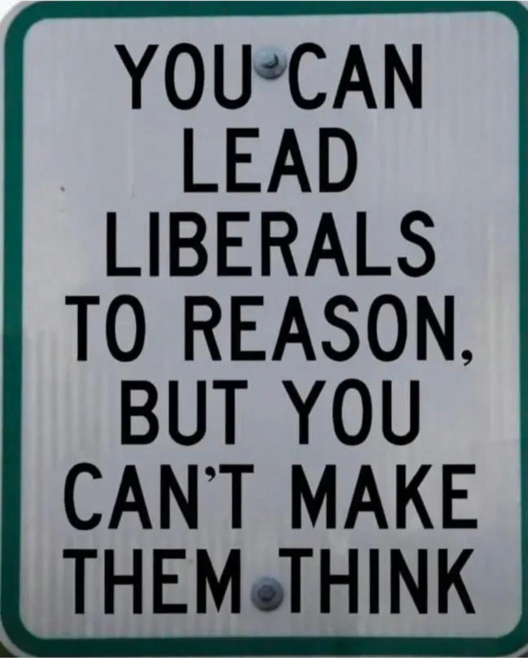 YOU CAN LEAD LIBERALS TO REASON, BUT YOU CAN'T MAKE THEM THINK