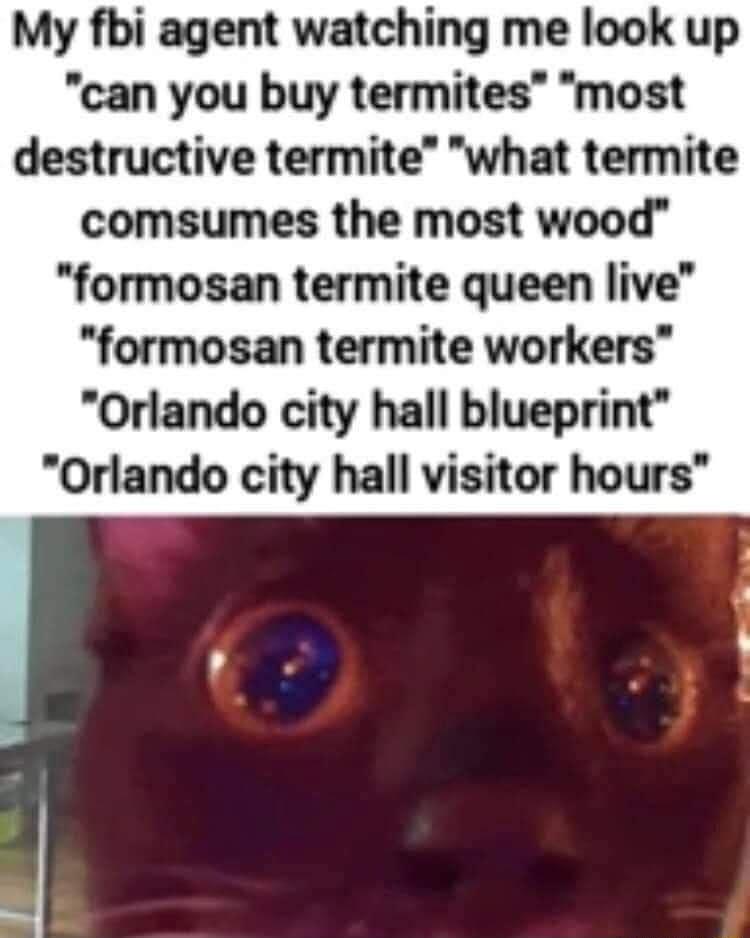 My fbi agent watching me look up can you buy termites most destructive termite what termite comsumes the most wood formosan termite queen live formosan termite workers Orlando city hall blueprint Orlando city hall visitor hours