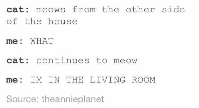 cat meows from the other side of the house me WHAT cat continues to meow me IM IN THE LIVING ROOM Source theannieplanet