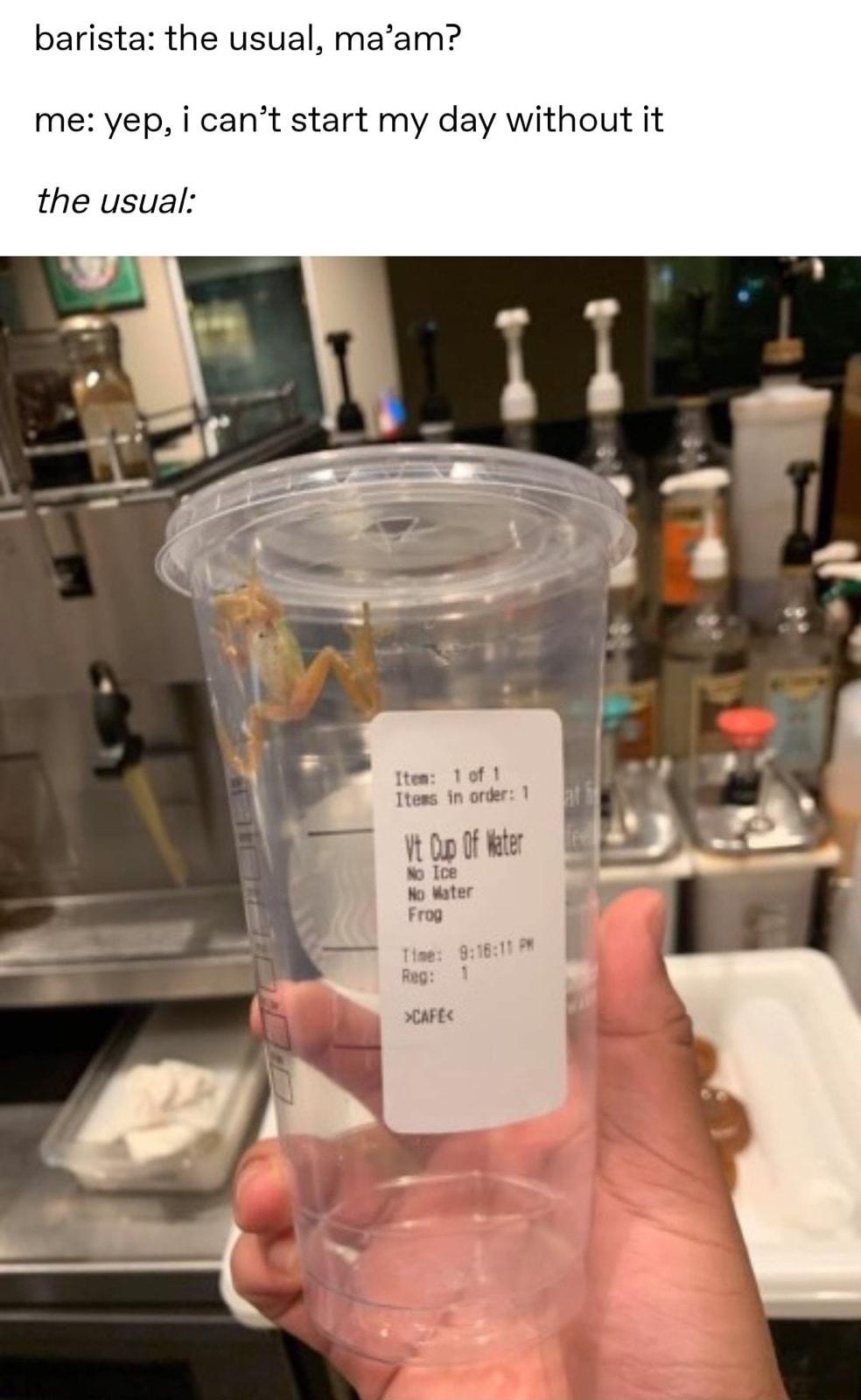 barista the usual maam me yep i cant start my day without it the usual