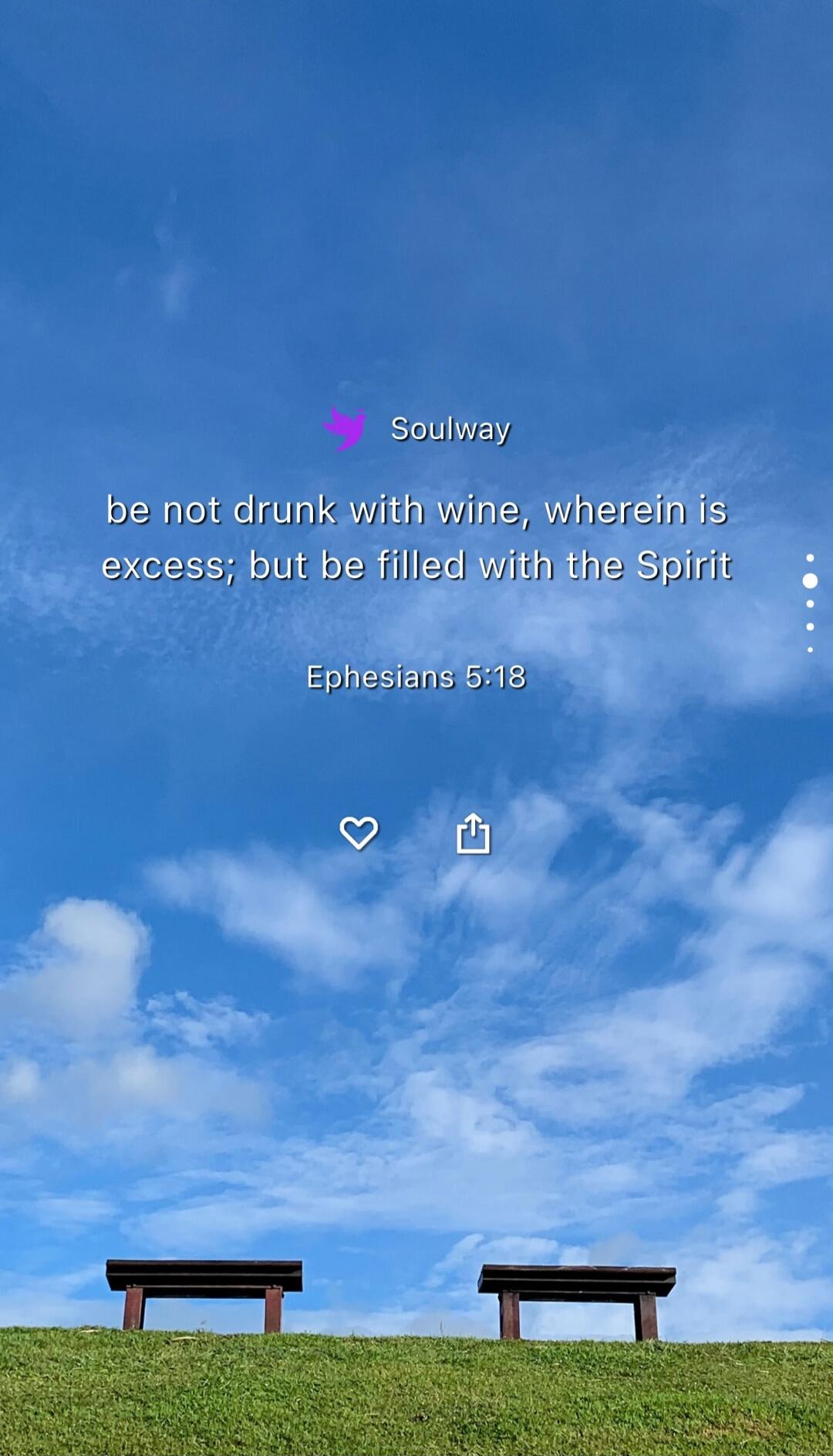 Soulway
be not drunk with wine, wherein is excess; but be filled with the Spirit

Ephesians 5:18