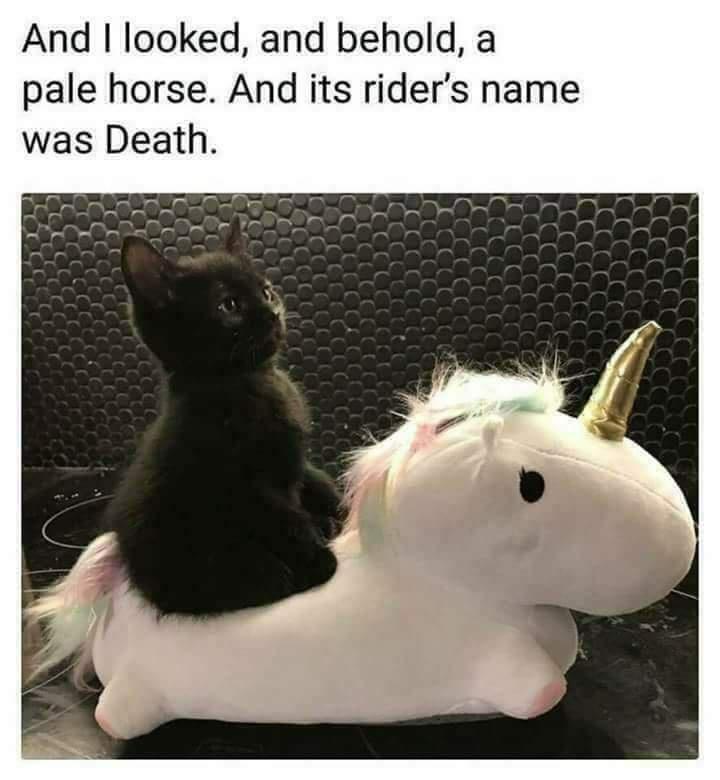 And looked and behold a pale horse And its riders name was Death