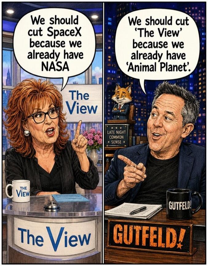 We should cut SpaceX because we already have NASA. We should cut 'The View' because we already have 'Animal Planet'. The View. GUTFELD! LATE NIGHT COMMON SENSE.