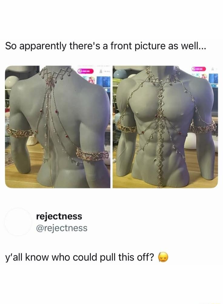 So apparently there's a front picture as well... rejectness @rejectness y'all know who could pull this off? 🤔