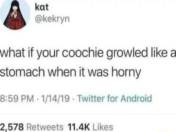 kat kekryn what if your coochie growled like stomach when it was horny 859 PM 11419 Twitter for Android 2 578 Retweets 114K Likes