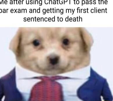 vie atier using Lnatur 1 10 pass the ar exam and getting my first client sentenced to death lf