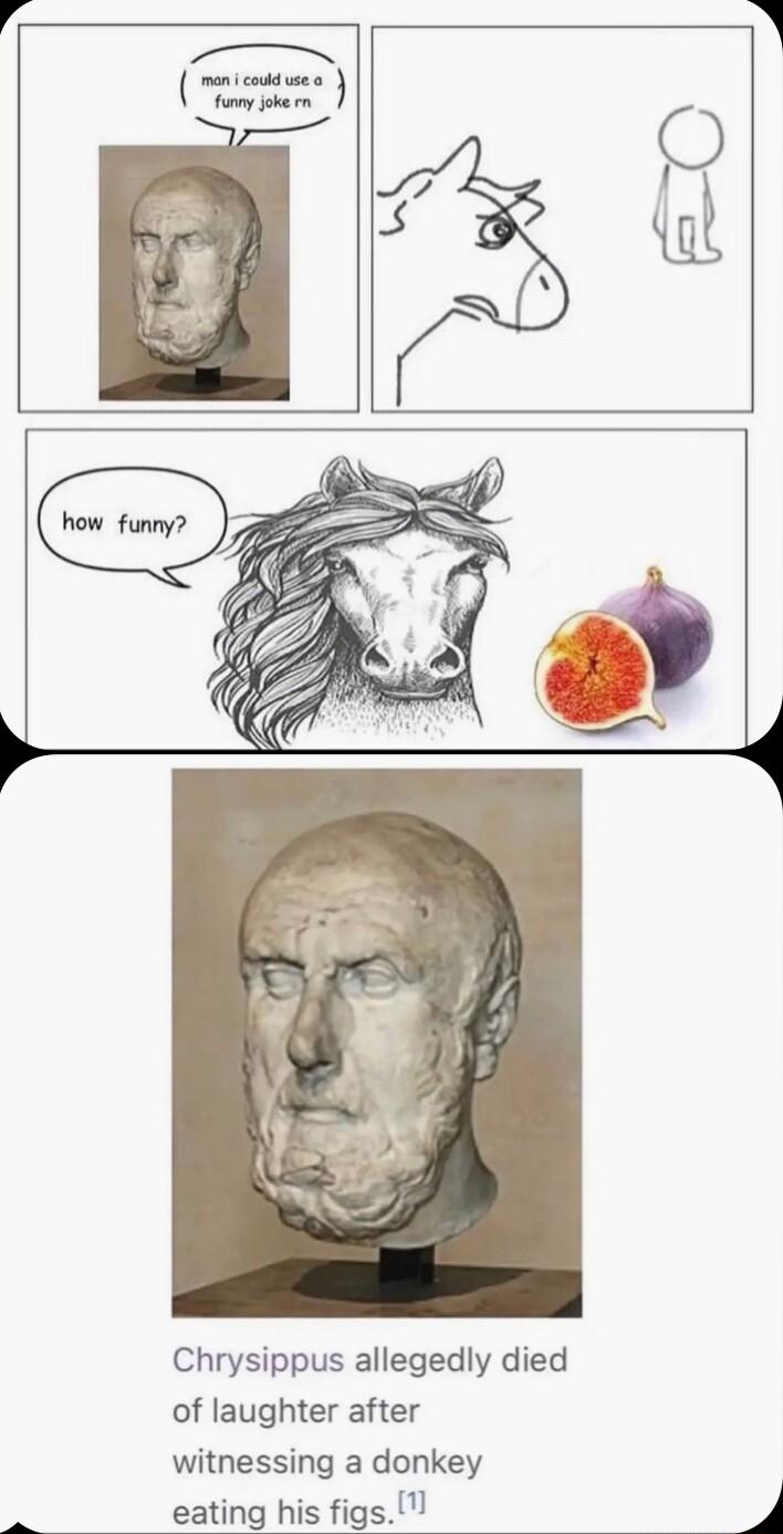 Chrysippus allegedly died of laughter after witnessing a donkey eating his figs