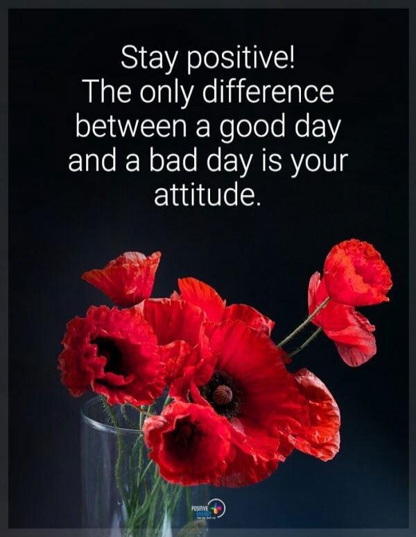 Stay positive! The only difference between a good day and a bad day is your attitude.