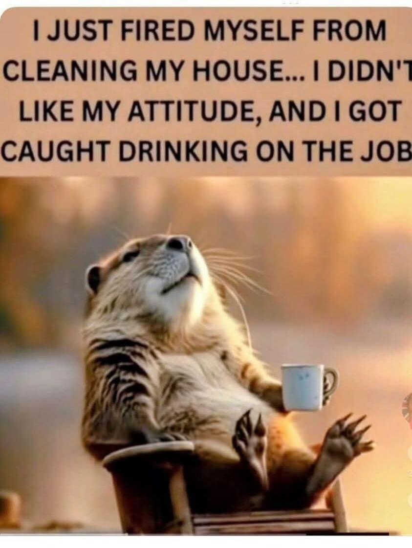 I JUST FIRED MYSELF FROM CLEANING MY HOUSE... I DIDN'T LIKE MY ATTITUDE, AND I GOT CAUGHT DRINKING ON THE JOB