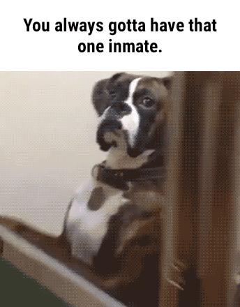 You always gotta have that one inmate