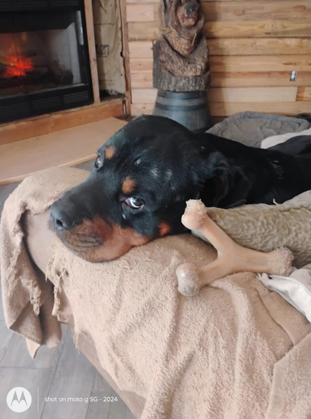 shot on moto g 5G - 2024