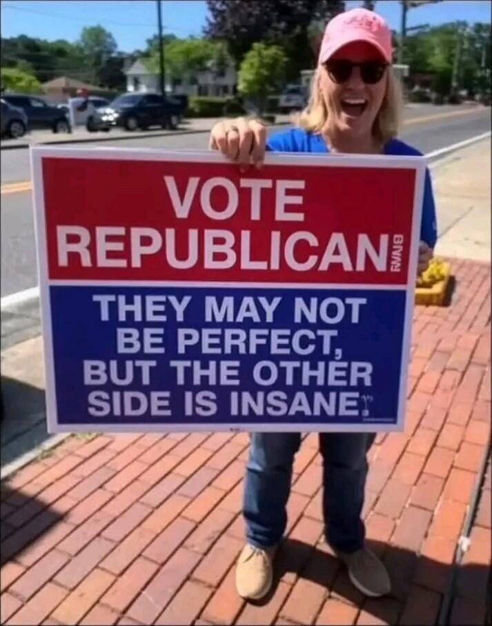 VOTE REPUBLICAN
THEY MAY NOT BE PERFECT, BUT THE OTHER SIDE IS INSANE
