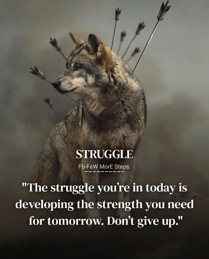 e STRUGGLE Fb FeW MorE Steps The struggle youre in today is developing the strength you need for tomorrow Dont give up
