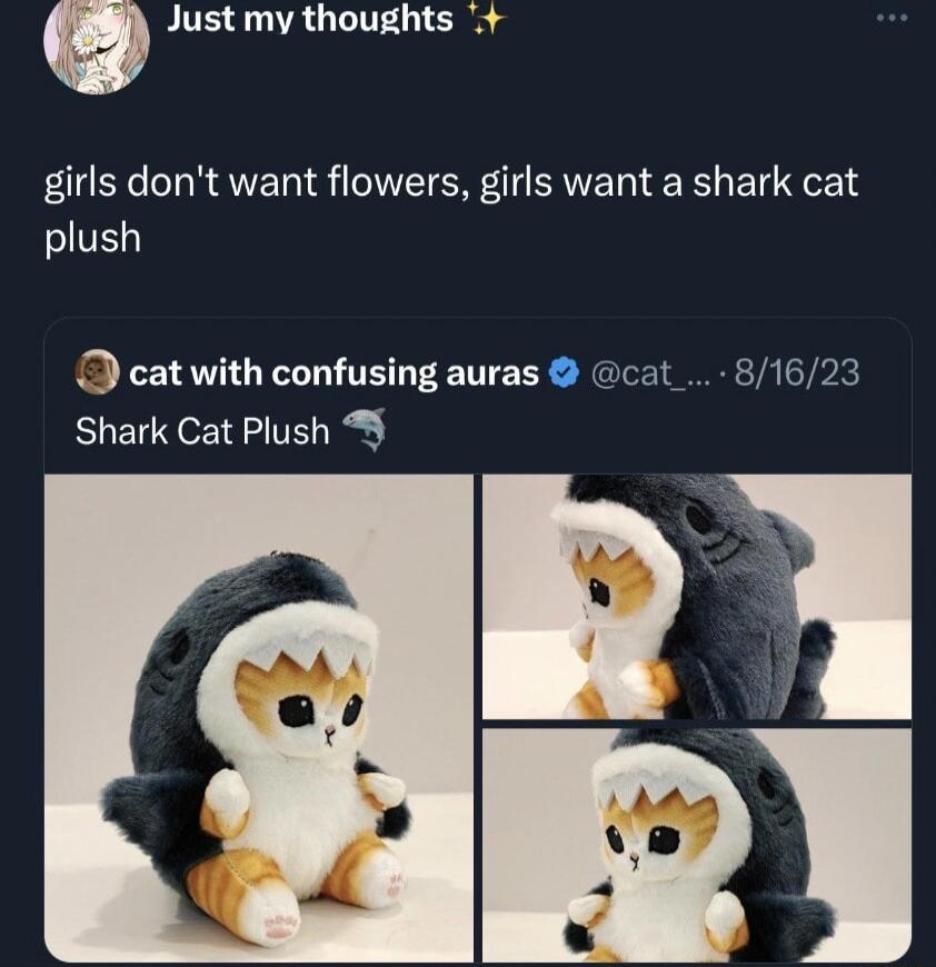 Just my thoughts girls dont want flowers girls want a shark cat SIVE cat with confusing auras cat 81623 Shark Cat Plush