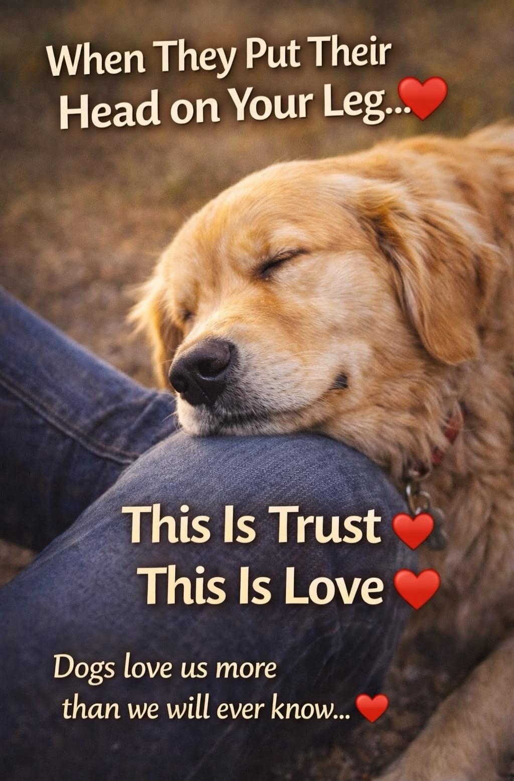 When They Put Their Head on Your Leg... This Is Trust This Is Love Dogs love us more than we will ever know...