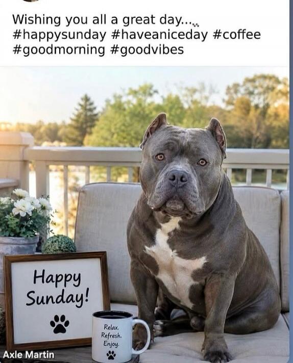 Wishing you all a great day.... #happysunday #haveaniceday #coffee #goodmorning #goodvibes Happy Sunday! Relax. Refresh. Enjoy. Axle Martin