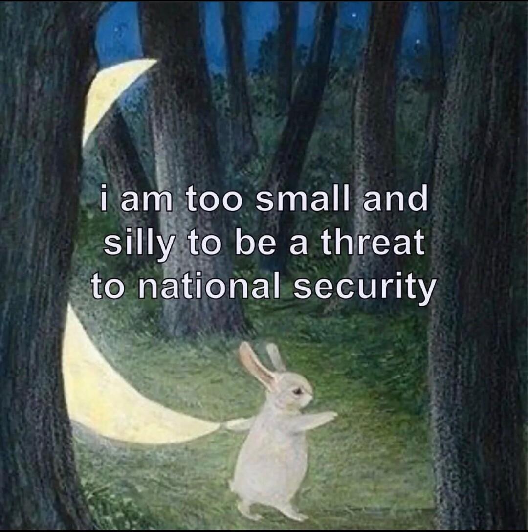 AFPI2 A jtoo smalliand o be a threat nal security