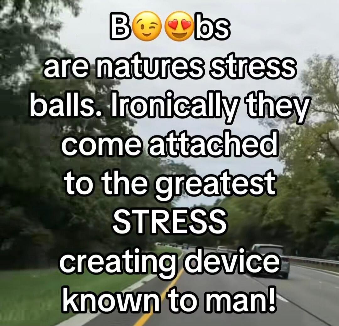B😏😍bs are natures stress balls. Ironically they come attached to the greatest STRESS creating device known to man!