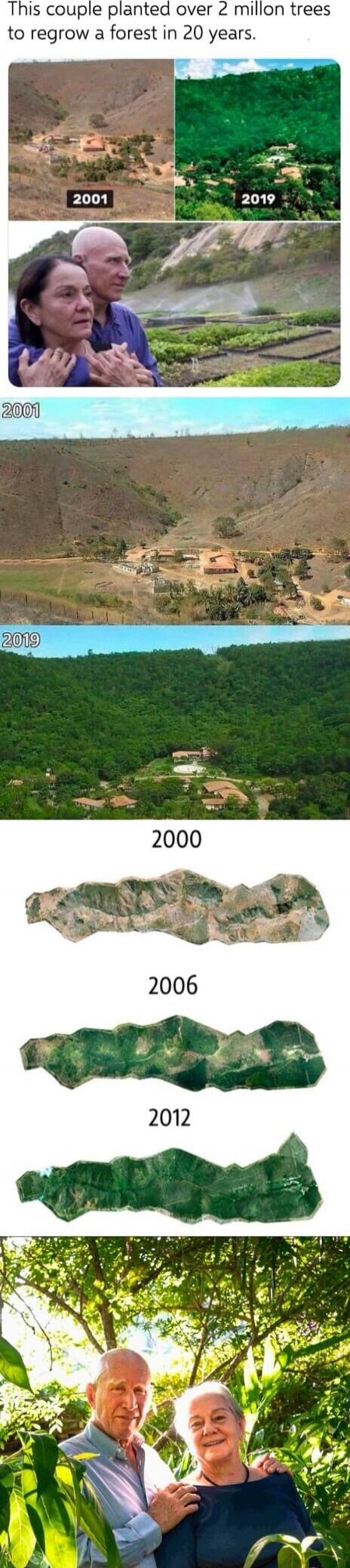 This couple planted over 2 million trees to regrow a forest in 20 years. 2001 2019 2000 2006 2012