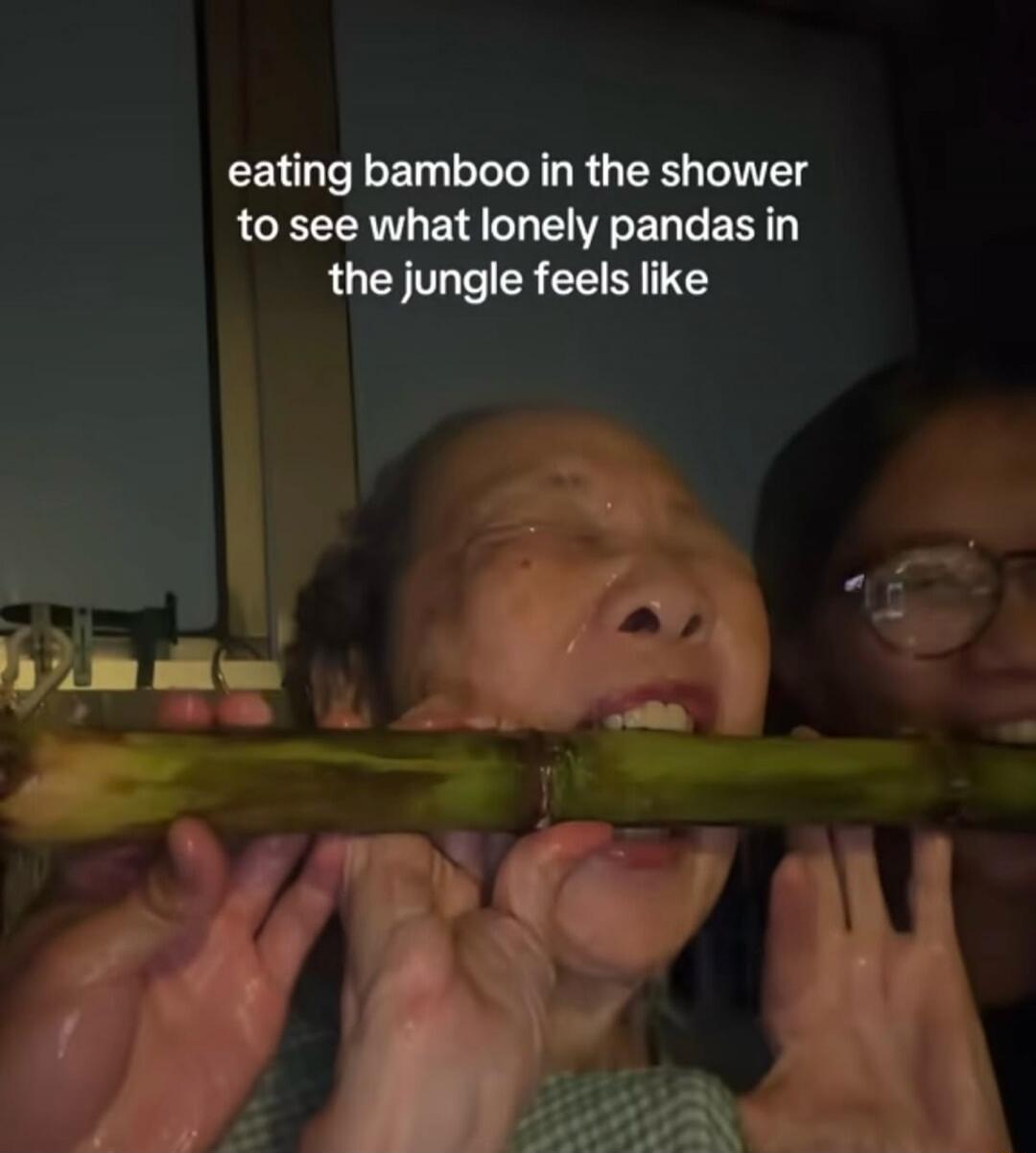 eating bamboo in the shower to see what lonely pandas in the jungle feels like