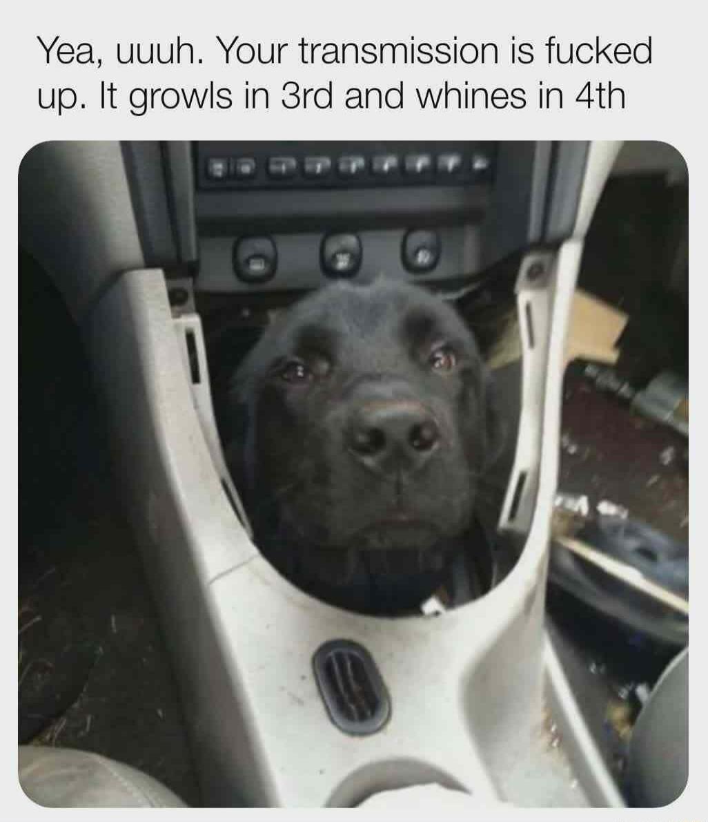 Yea uuuh Your transmission is fucked up It growls in 3rd and whines in 4th