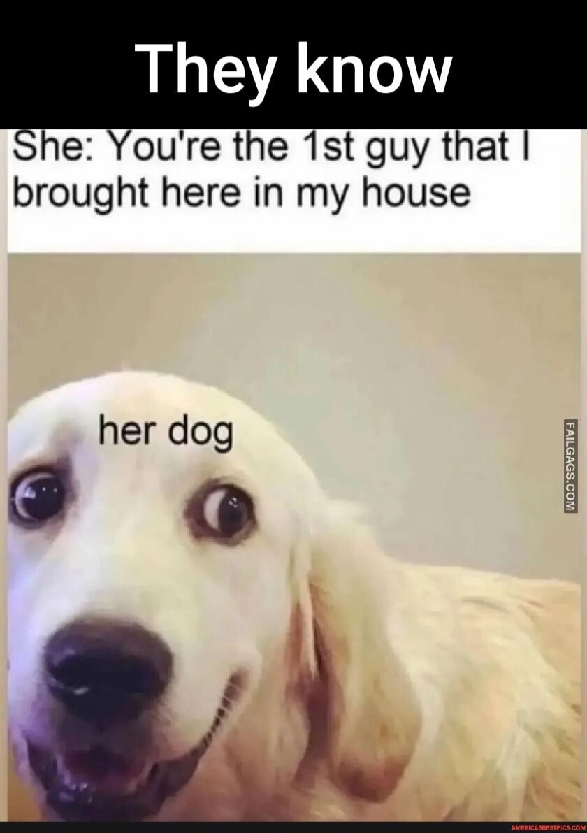 They know
She: You're the 1st guy that I brought here in my house
her dog