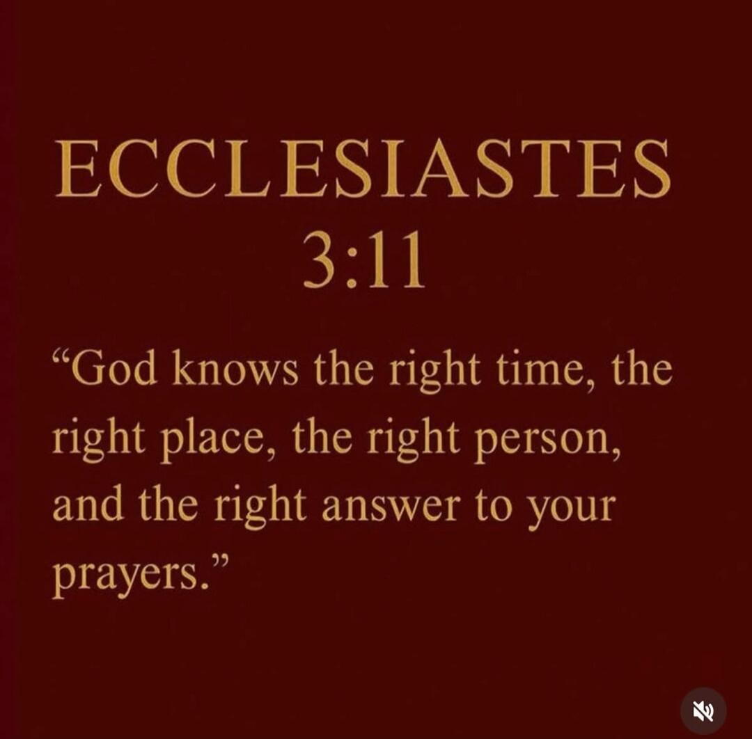 ECCLESIASTES 3:11 