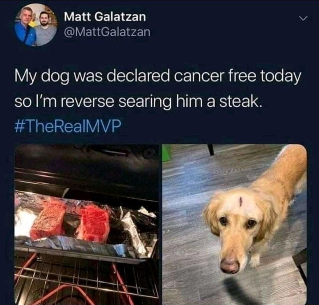 Matt Galatzan MattGalatzan My dog was declared cancer free today so Im reverse searing him a steak EAEREE VAV