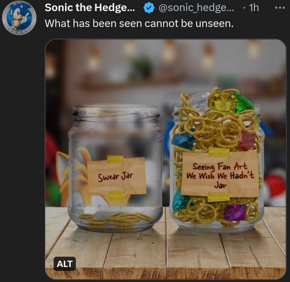 Sonic the Hedge sonic hedge 1h What has been seen cannot be unseen