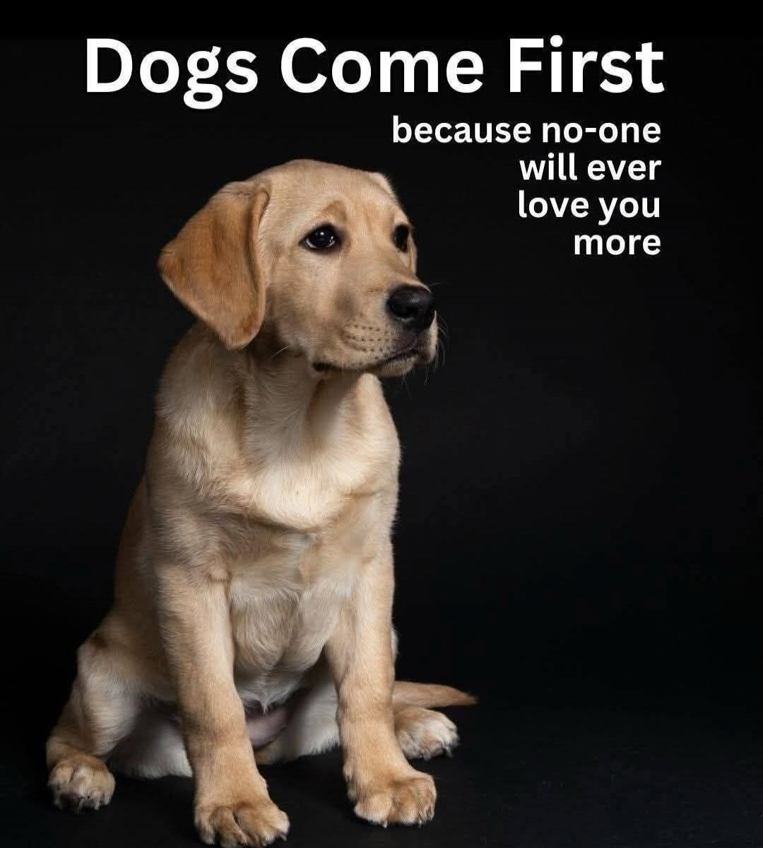 Dogs Come First because no-one will ever love you more