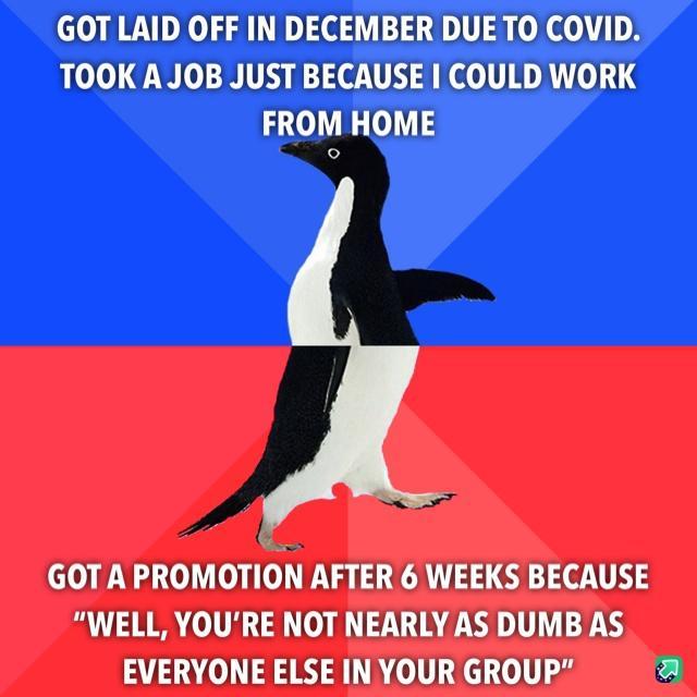 GOT LAID OFF IN DECEMBER DUE TO COVID TOOK A JOB JUST BECAUSE COULD WORK 0 0 4 GOTA PROMOTION AFTER 6 WEEKS BECAUSE WELL YOURE NOT NEARLY AS DUMB AS EVERYONE ELSE IN YOUR GROUP a