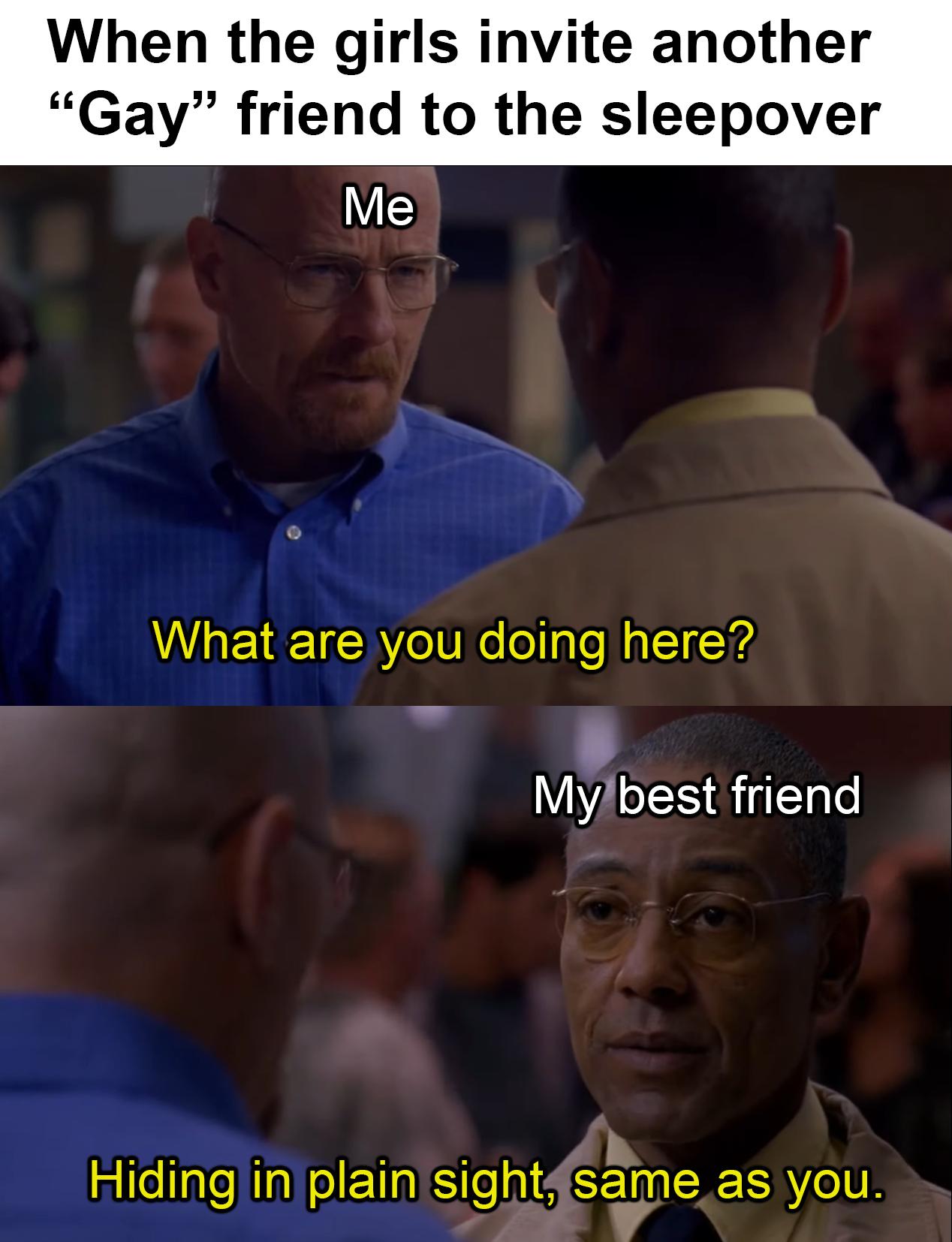 When the girls invite another Gay friend to the sleepover Me AWLETEETER eIV e ol e falTi2 Mybest friend Hiding in plain sight seme as you