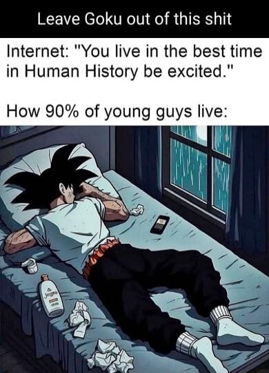 Leave Goku out of this shit Internet You live in the best time in Human History be excited How 90 of young guys live