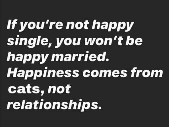 If youre not happy I LI TG T i 4 1 T T Gl L A Happiness comes from cats not relationships