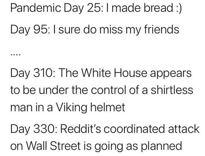 Pandemic Day 25 made bread Day 95 sure do miss my friends Day 310 The White House appears to be under the control of a shirtless man in a Viking helmet Day 330 Reddits coordinated attack on Wall Street is going as planned