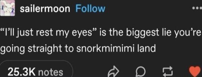 sailermoon Follow IIl just rest my eyes is the biggest lie youre going straight to snorkmimimi land 253K notes A 0 o e
