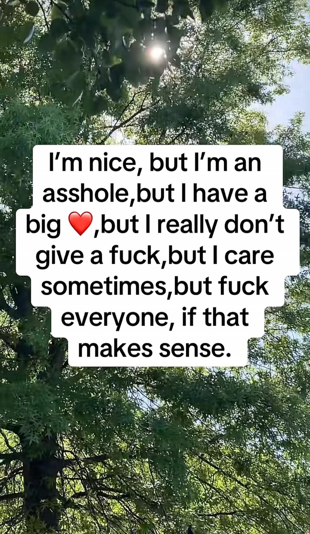 I'm nice, but I'm an asshole, but I have a big heart, but I really don't give a fuck, but I care sometimes, but fuck everyone, if that makes sense.