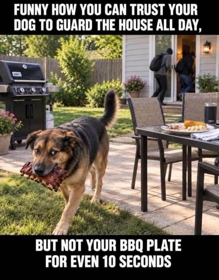 FUNNY HOW YOU CAN TRUST YOUR DOG TO GUARD THE HOUSE ALL DAY, BUT NOT YOUR BBQ PLATE FOR EVEN 10 SECONDS