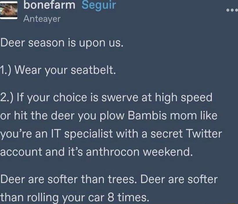 bonefarm Seguir Anteayer Deer season is upon us 1 Wear your seatbelt 2 If your choice is swerve at high speed or hit the deer you plow Bambis mom like youre an IT specialist with a secret Twitter account and its anthrocon weekend Deer are softer than trees Deer are softer than rolling your car 8 times