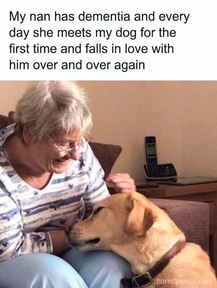 My nan has dementia and every day she meets my dog for the first time and falls in love with him over and over again