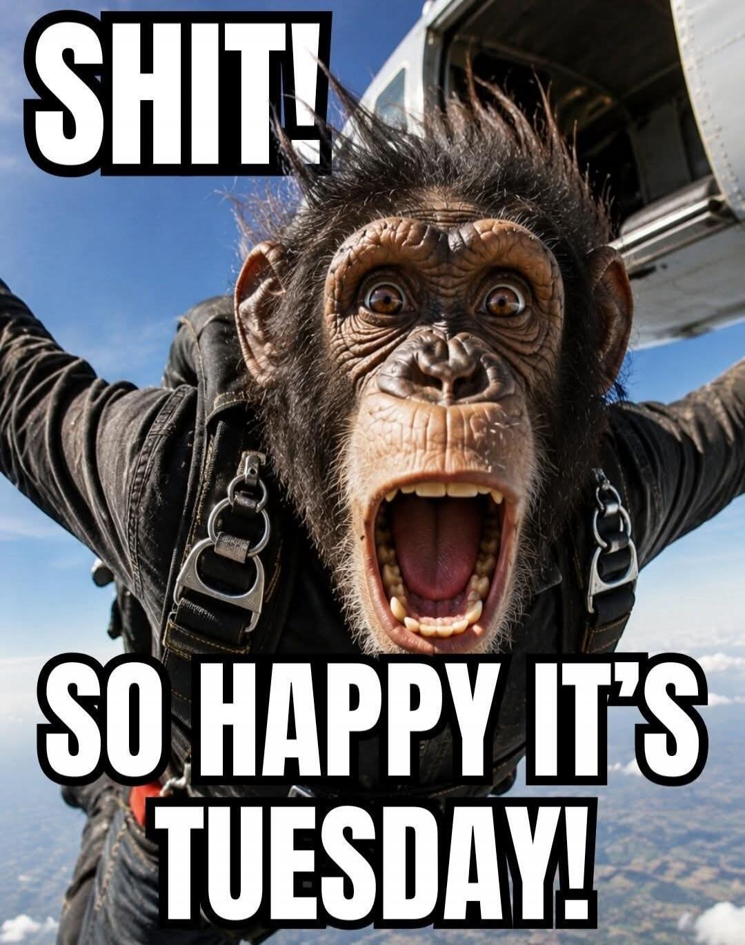 SHIT! SO HAPPY IT'S TUESDAY!