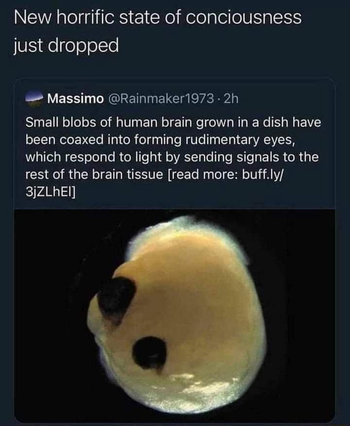 New horrific state of conciousness JUIS eloloolte 4 Massimo Rainmaker1973 2h Small blobs of human brain grown in a dish have been coaxed into forming rudimentary eyes which respond to light by sending signals to the LCOTORGENIE T REETER CET Ry P T ALY 3jZLhEI