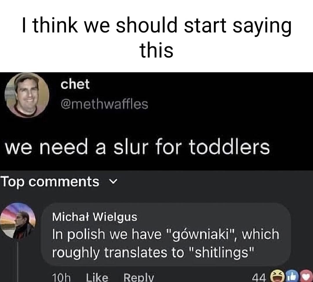 I think we should start saying this WENEYYo R V h feTgh oTe o YES Top comments v ul N Michat Wielgus v In polish we have gdwniaki which roughly translates to shitlings 10h Like Rebly V