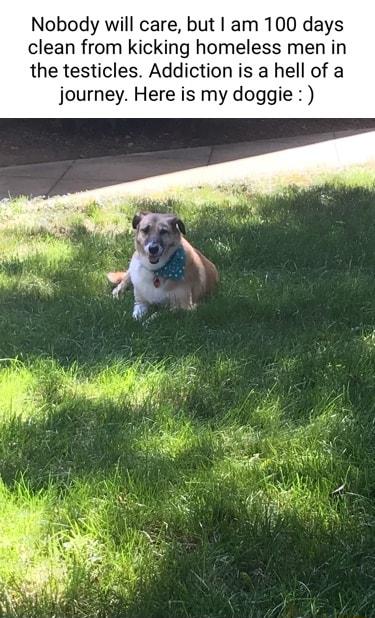Nobody will care but am 100 days clean from kicking homeless men in the testicles Addiction is a hell of a journey Here is my doggie
