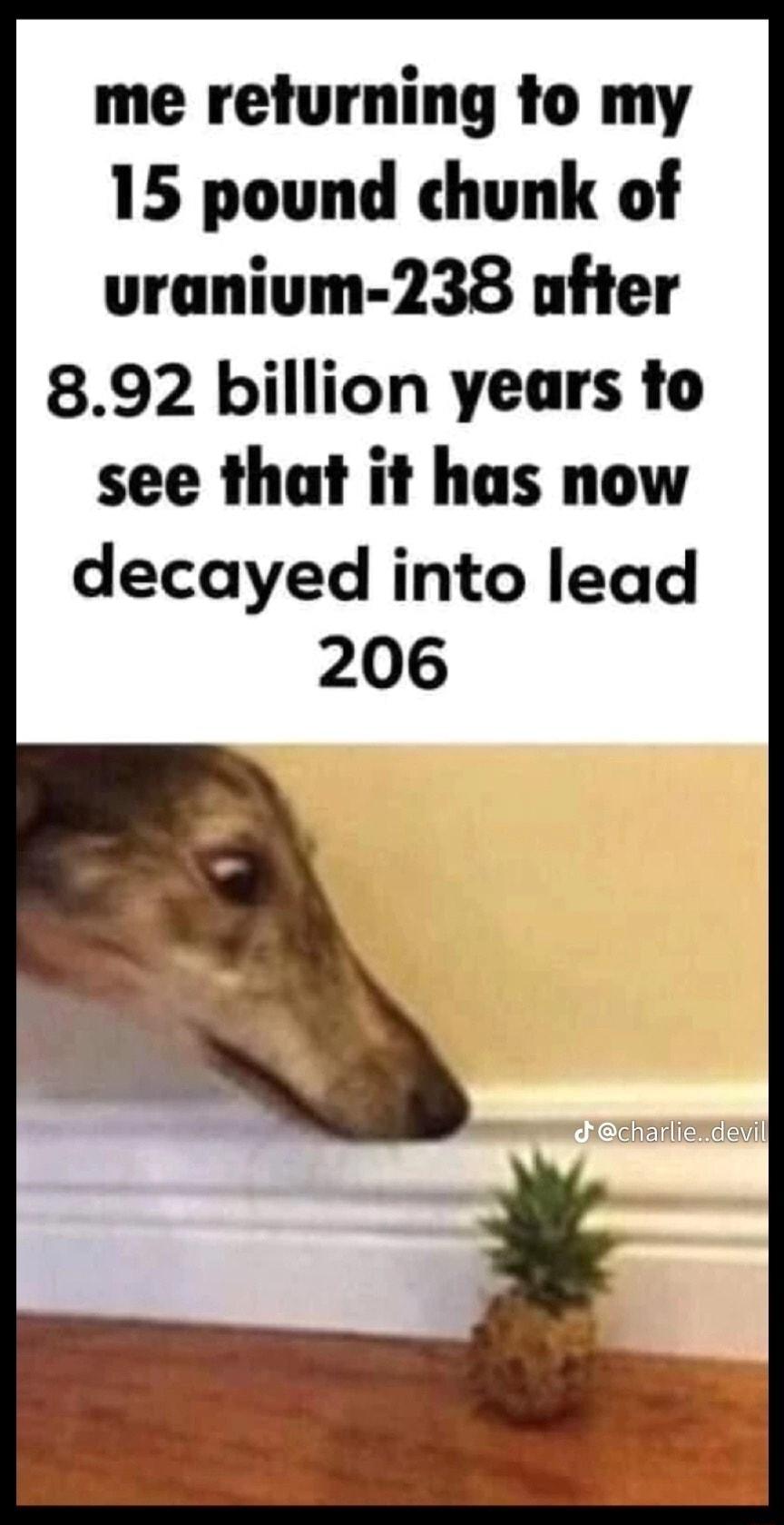 me returning to my 15 pound chunk of uranium 238 ofter 892 billion years to see that it has now decayed into lead 206