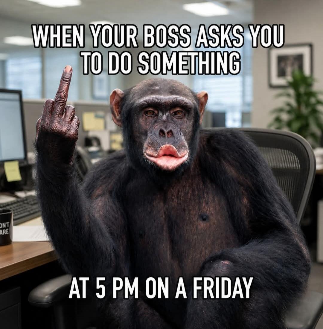 WHEN YOUR BOSS ASKS YOU TO DO SOMETHING AT 5 PM ON A FRIDAY