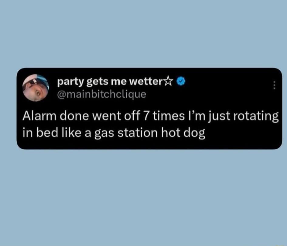 6 party gets me wettert mainbitchelique Alarm done went off 7 times Im just rotating in bed like a gas station hot dog