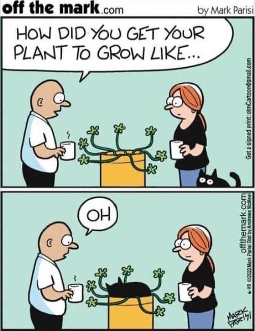 off the mark com by Mark Parisi HoW DID Y6V GET YouR PLANT To GROW LIKE offthemark com a3 Cammai Pt ak o ecsews skl