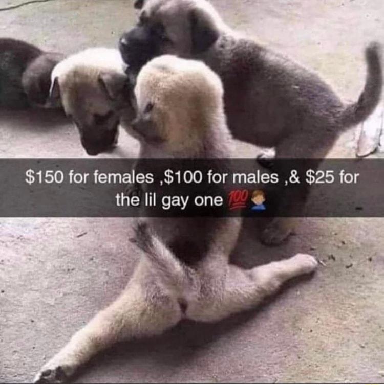 150 for females 100 for males 25 for the lil gay one